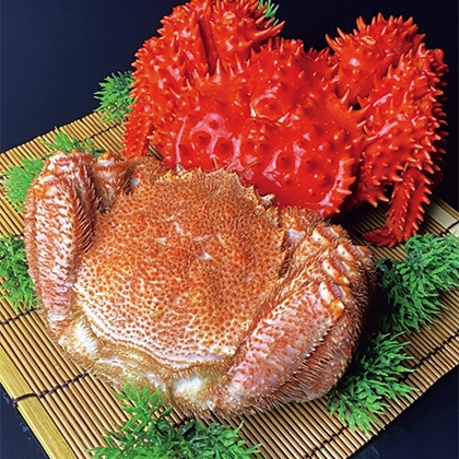 �{�C���ԍ炪�ɁE�т���