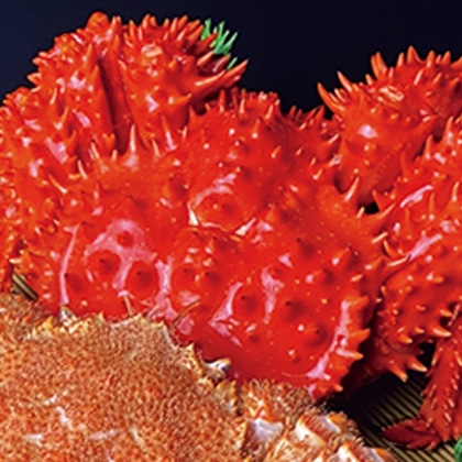 �{�C���ԍ炪��