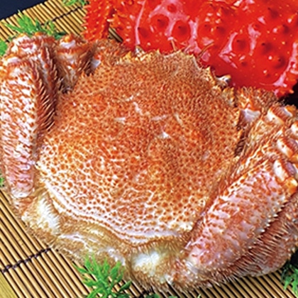 �{�C���т���