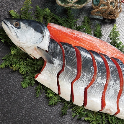 �����g���i�ؐg�j�R�p�b�N