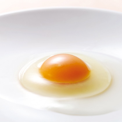 �����n�{���@�g�����܂�