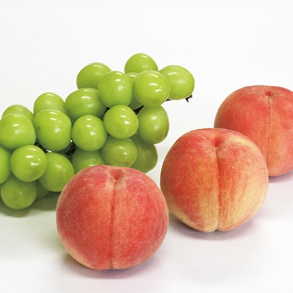 �V���C���}�X�J�b�g�Ɣ���