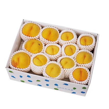 �R�`���Y�@������p����