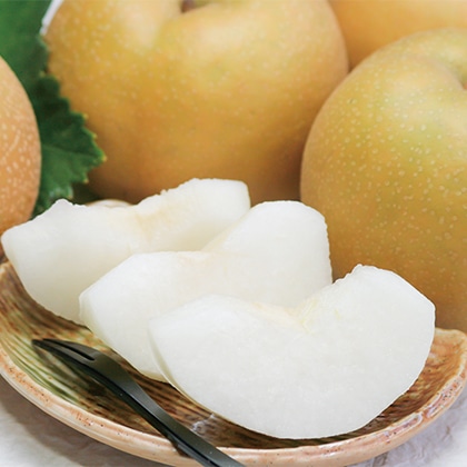 �������Y�@�a���Ɣ����l����