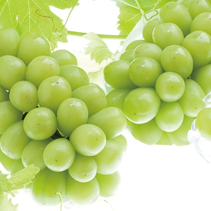 �V���C���}�X�J�b�g�@�`