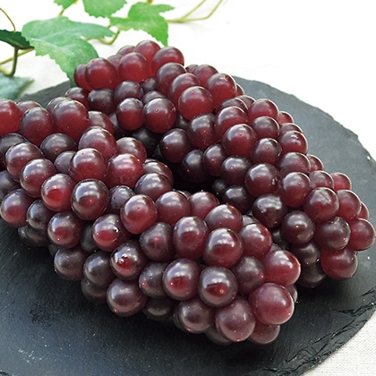 �����̃f���E�F�A�@�P�D�P����