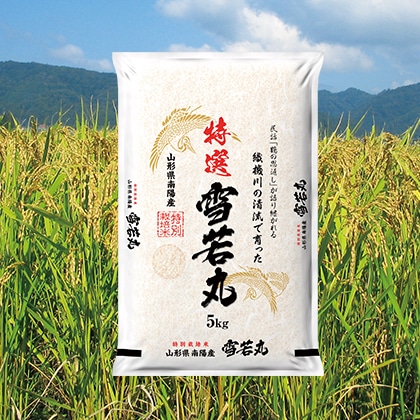 ���ʍ͔|�ā@����