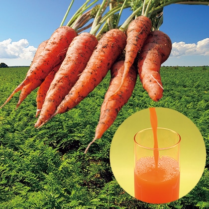 �l�Q�ʎ��@�Q�{�Z�b�g