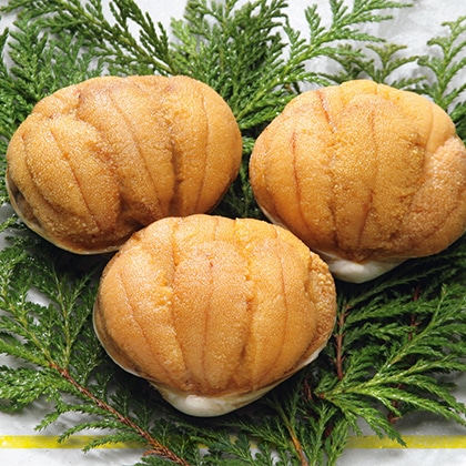 ���킫���Y�u�E�j�L�Ă��v