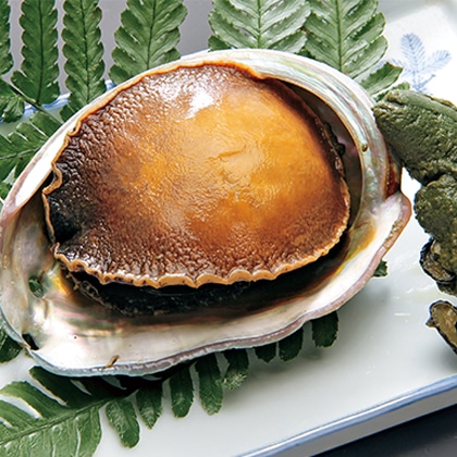 ����т̈��