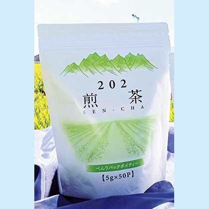 �|�C�e�B�[�����@�P�O�O�p�b�N