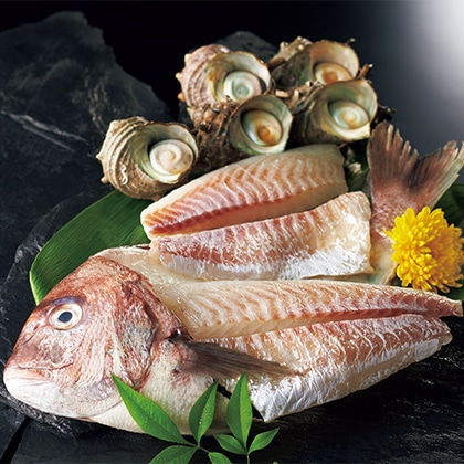 鯛姿造り用・活サザエ