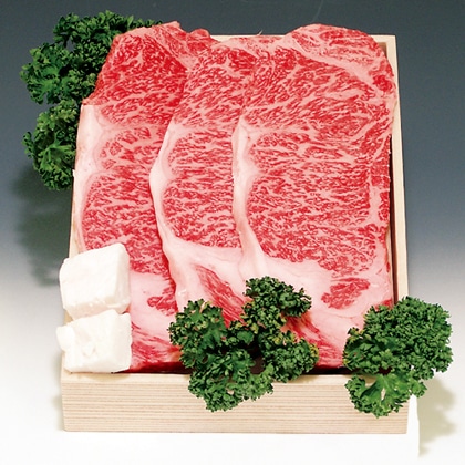 �ߍ]�����[�X�X�e�[�L�p