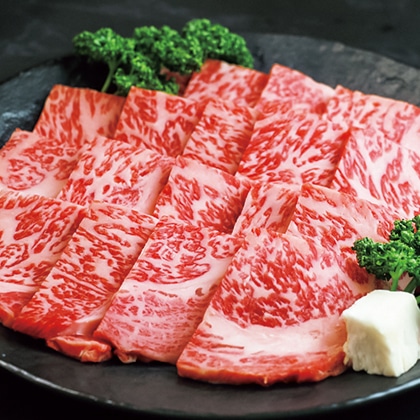 �ߍ]���@���ݏāE�S�ėp