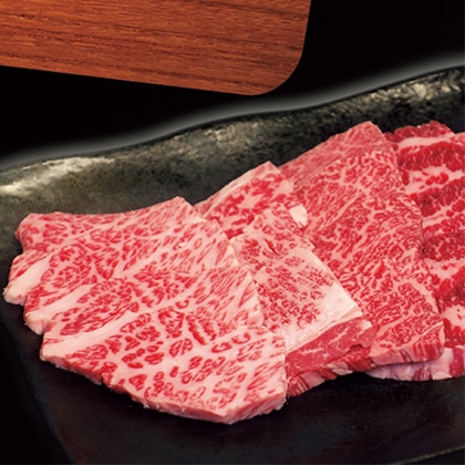 �ߍ]���@�ē��E���ݏėp