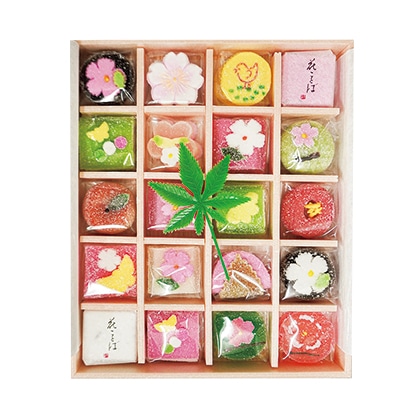 ����q�@�Q�O��