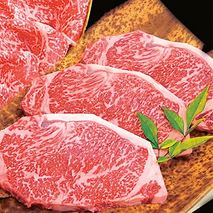 �_�˃��C���r�[�t�@�T�[���C���X�e�[�L�p