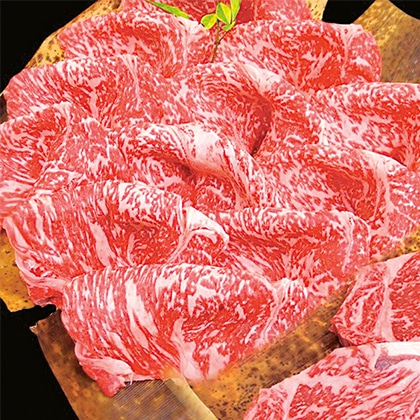 �_�˃��C���r�[�t�@���[�X�����₫�p