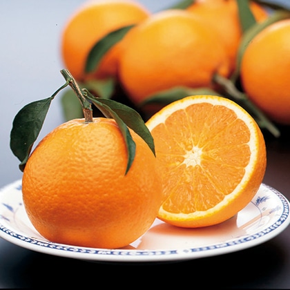 �����I�����W