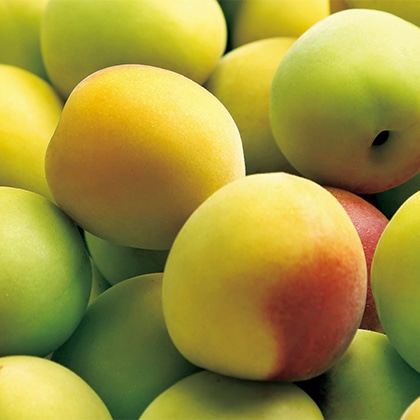 �썂�~�@�~�����E�~���E�~�W�����p���~