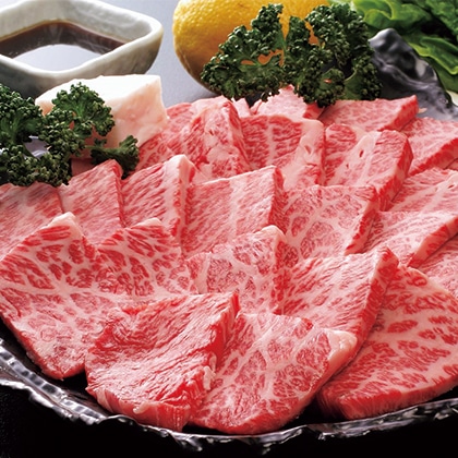 �F�싍�����[�X�ē��p