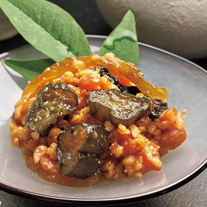 �ґ���R�����X�@�p���|�����イ���