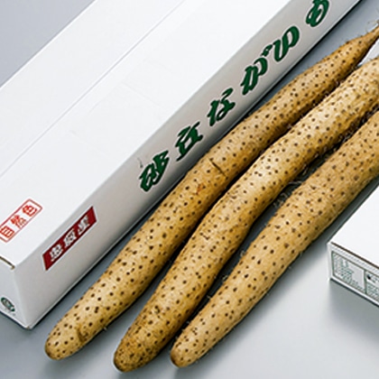 ���u�����@�R����