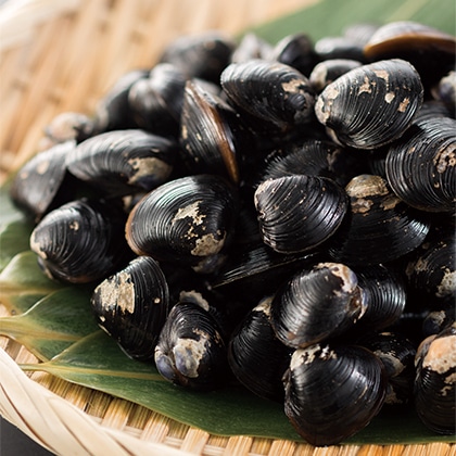 いづもの 宍道湖しじみ(中粒)5パック