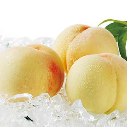 ���R�Y�����@�R��