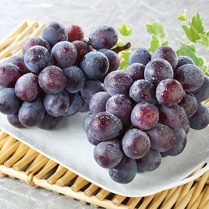 ���R�j���[�s�I�[�l