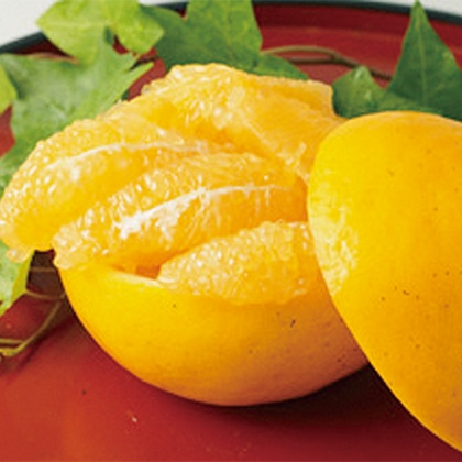 �W���[�V�[�S�[���h�i�͓��ӊ��j�@���ƒ�p