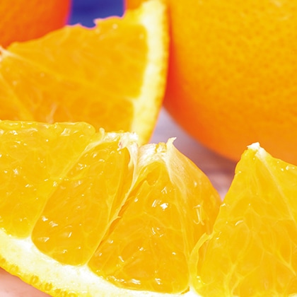 ���o���n������݁@���ƒ�p