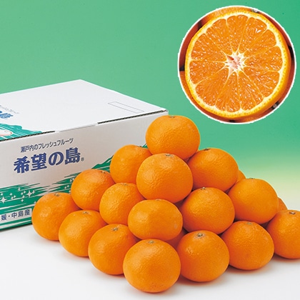 ��]�̓��@���n�t�݂���