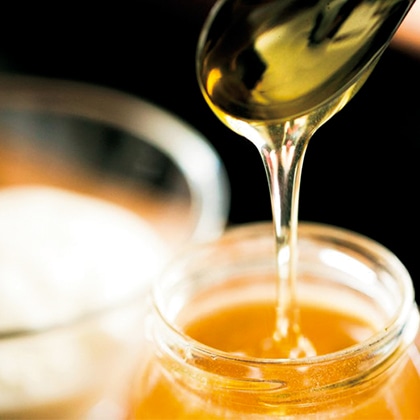 �������Y�@�S�Ԗ���������