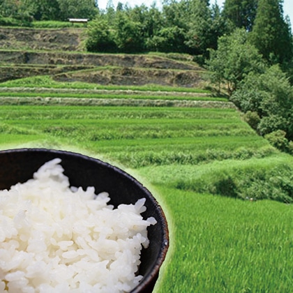 �啪����d�̒I�c�āi�����āj�@�U����