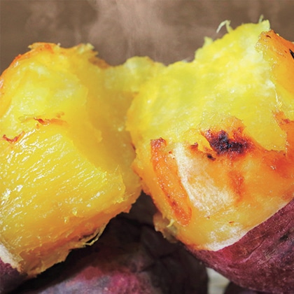 �Ă����v���~�A��