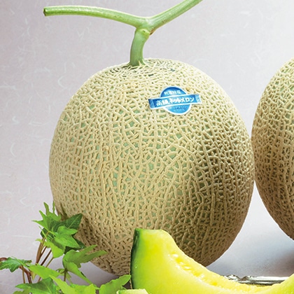 �}�X�N�������@�Q��