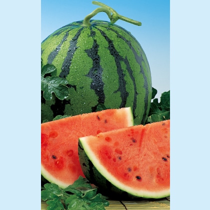 �A�؃X�C�J�P��