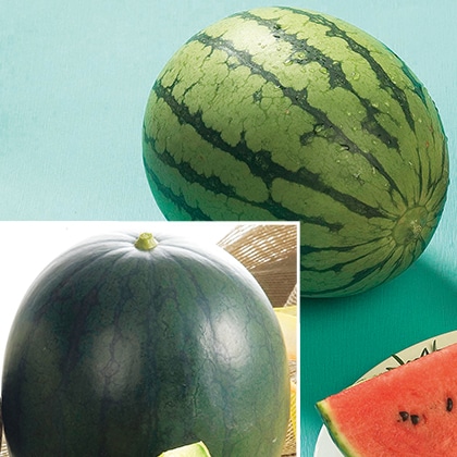 ���ʃX�C�J�@�Q��