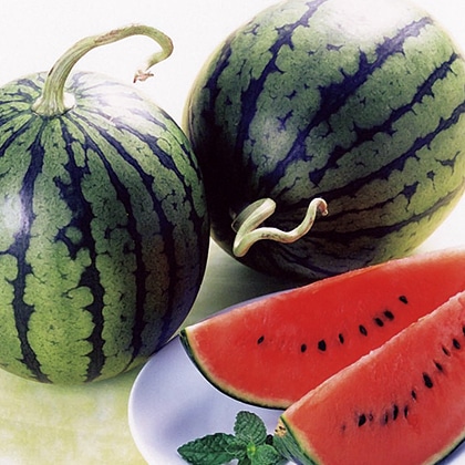 ���ʂ������Q��