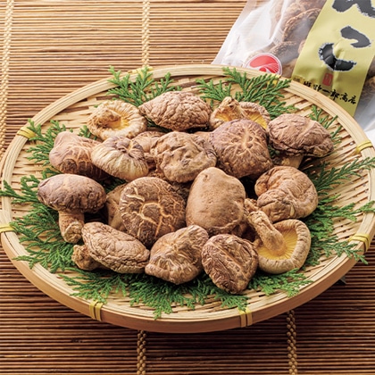 �啪���Y�ǂ񂱒ő�