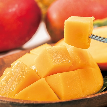 ���ꊮ�n�}���S�[�@�P����