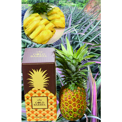 �S�[���h�o����