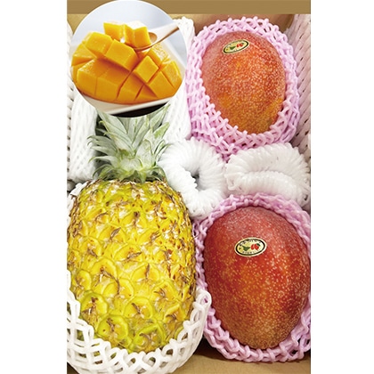 �����p�A�b�v���}���S�[�ƃS�[���h�o�����Z�b�g