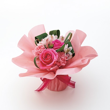 ���j���p���̂܂܏����u�[�P