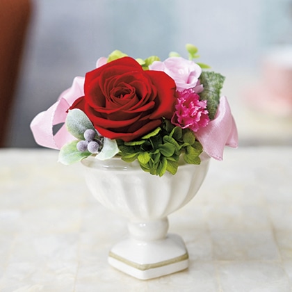 �v���U�[�u�h�t�����[�A�����W