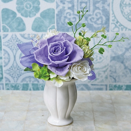 �������A���v���U�[�u�h�t�����[