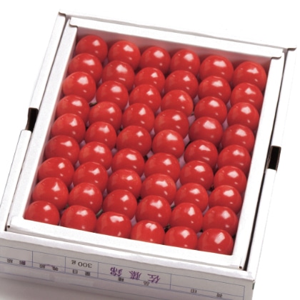 �y�n�E�X�z�����{�ݍ͔|�@��������