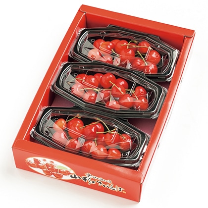 �y�L����� �쑽���ʎ��X�z�������ځ@�R�O�O���i���v�̔��\�萔�F500�j  ���̔��J�n�F5/26�i�΁j9���`�@��2026�N�ӂ邳�Ə���S���� �t�č�
