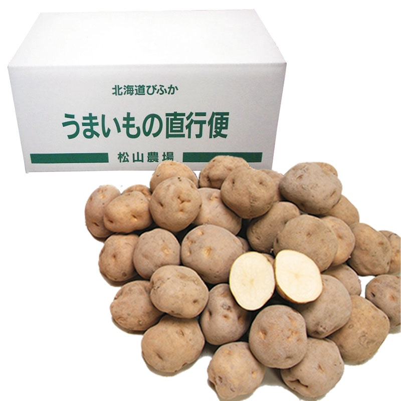 �j�݂���